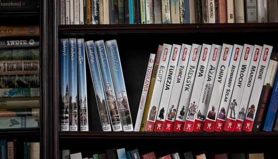 Drewniana biblioteczka: pomysły na aranżację, style i funkcjonalną organizację domowej biblioteki