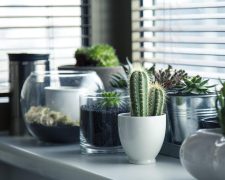 Jakie okna aluminiowe wybrać? Kluczowe parametry, koszty i dopasowanie do budynku